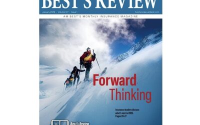 Ranking of the Largest Insurance Companies in the World